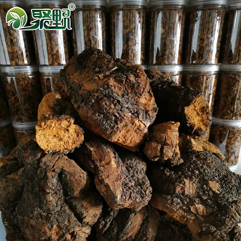 聚野桦褐孔菌桦树茸桦树黄500g长白山野生桦树泪黑金颗粒切块打粉 - 图0