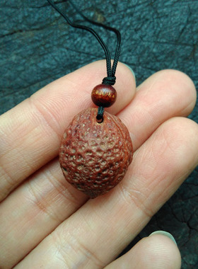 龙梅之心暴老山果核手工打磨制作的护身项坠吊坠趋吉避凶法器孤品