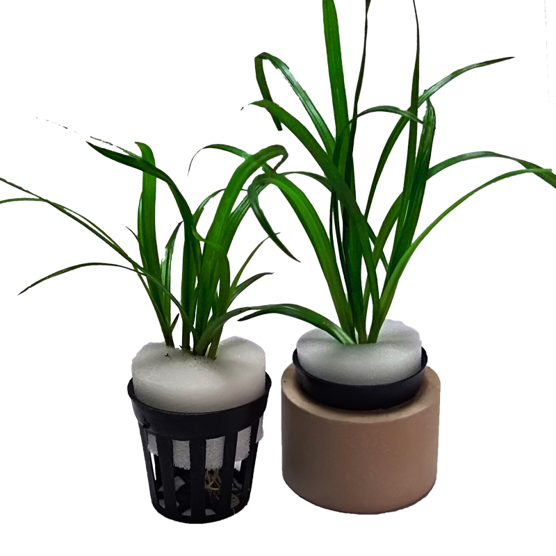 鱼缸水草定植环固定环水草蓝定植棉水草底座鱼缸水草定植杯定植蓝 小编推荐 Wepost 全民代运 马来西亚中国淘宝代运与集运专家 鱼缸水草定植环固定环水草蓝定植棉水草底座鱼缸水草定植杯定植蓝 小编推荐 Wepost 全民代运 马来西亚中国淘宝代运与集运专家