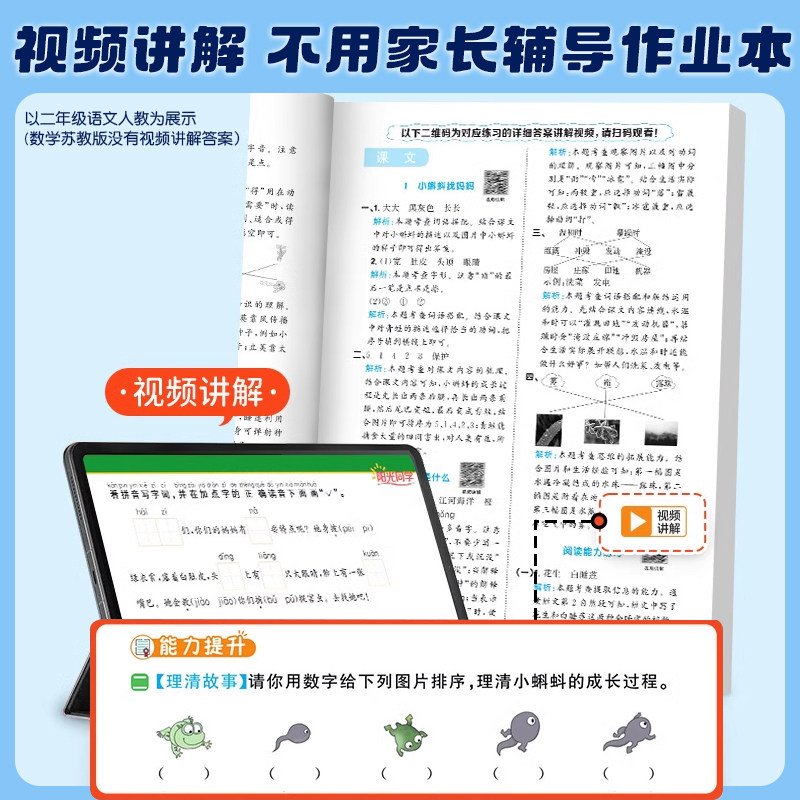 2024秋新版阳光同学课时优化作业一年级二年级三年级四五六年级上下册语文数学英语科学人教版北师苏教教科小学同步训练习册测试卷