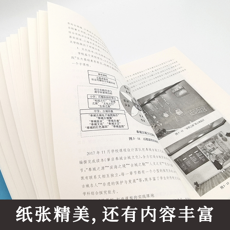 中小学综合实践活动的整体规划与实施 STEM视野下区域本土化研究 综合实践课程建设案例  跨学科学习 大夏书系 华东师范大学出版社 - 图3