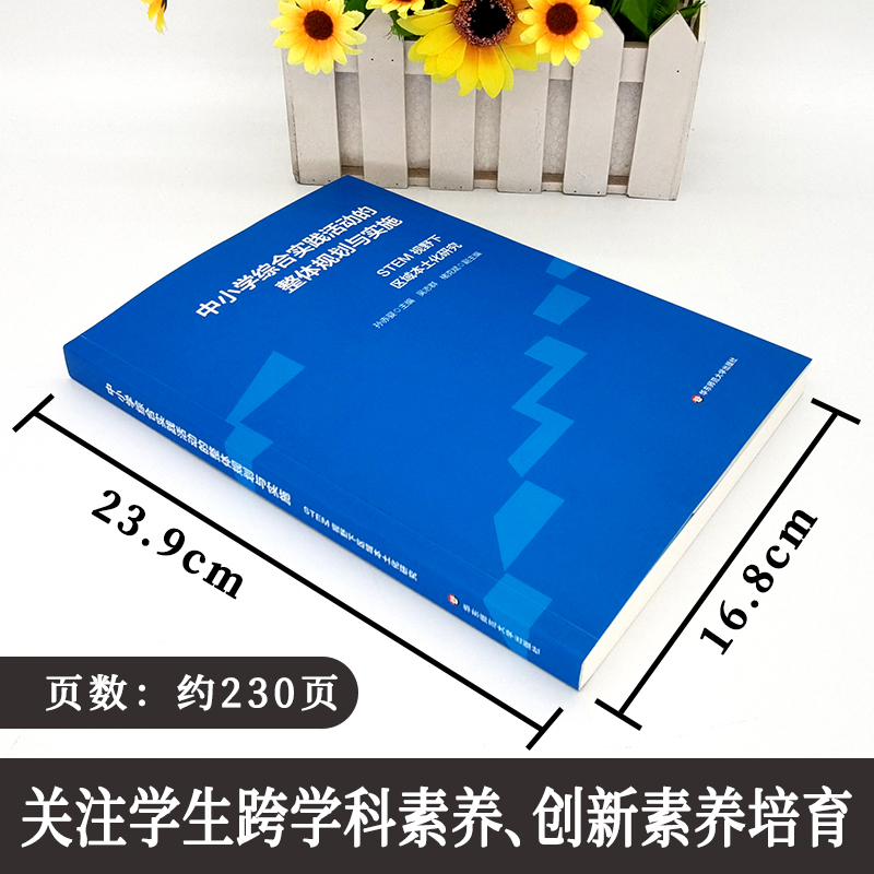 中小学综合实践活动的整体规划与实施 STEM视野下区域本土化研究 综合实践课程建设案例  跨学科学习 大夏书系 华东师范大学出版社 - 图0