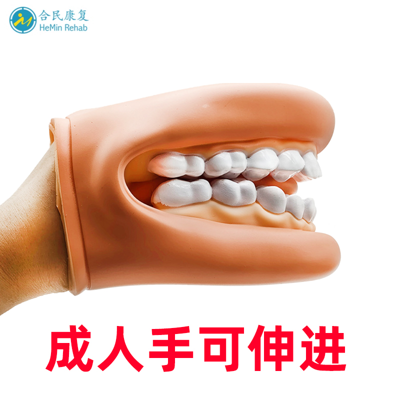 口肌训练牙齿模型幼儿园早教刷牙模具言语儿童宝宝口腔教学道具 - 图0