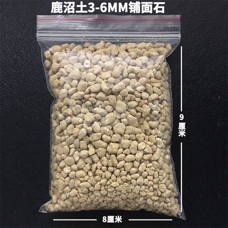 金钱菖蒲土虎须黄金姬菖蒲龙根姬月季兰花专用土盆景种苗-图1