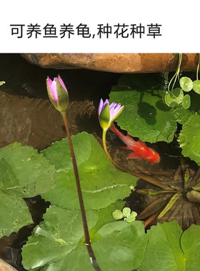 惠安户外庭院假山鱼池喷泉大型流水养鱼石头鱼缸招财风水轮聚宝盆