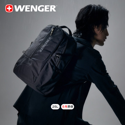 瑞士军刀WENGER威戈2026新款双肩包男商务电脑背包大容量612011B - 图0