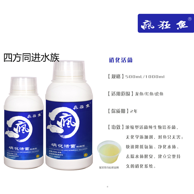 疯狂鱼 水质稳定剂 硝化活菌 肠道酸奶益生菌 浓缩型龙鱼魟鱼虎鱼 - 图0