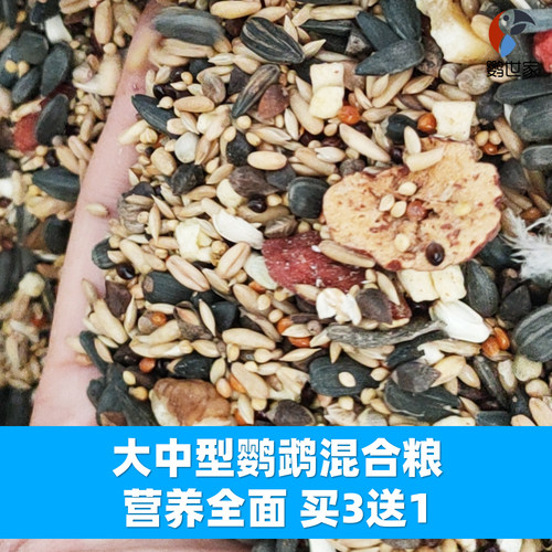 滋养丸和尚小太阳吸蜜灰机金刚金太食物保健砂手工营养鸟粮食奶粉 - 图0