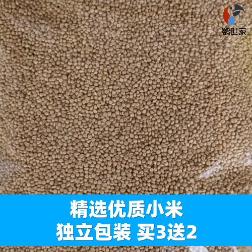 滋养丸和尚小太阳吸蜜灰机金刚金太食物保健砂手工营养鸟粮食奶粉 - 图2