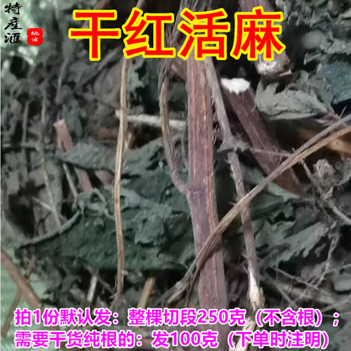 新鲜干货红活麻根 红荨麻草枝叶500g包邮 红火麻草红禾麻籽中药材 - 图0