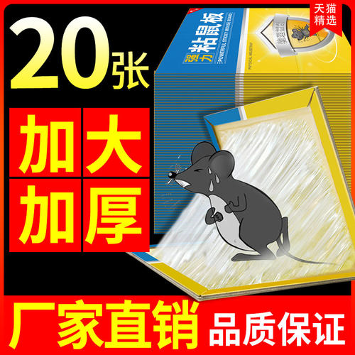 20张超强力粘鼠板窝端一捉抓粘贴驱胶药灭捕鼠神器克星家用大老鼠 - 图0