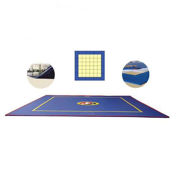 DRACULA Sanda fighting boxing ring mat