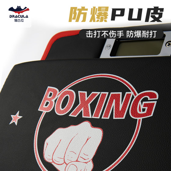 Dracula electronic boxing dynamometer