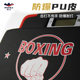 Dracula electronic boxing dynamometer