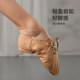 Sansha French lace-up low-top jazz dance shoes