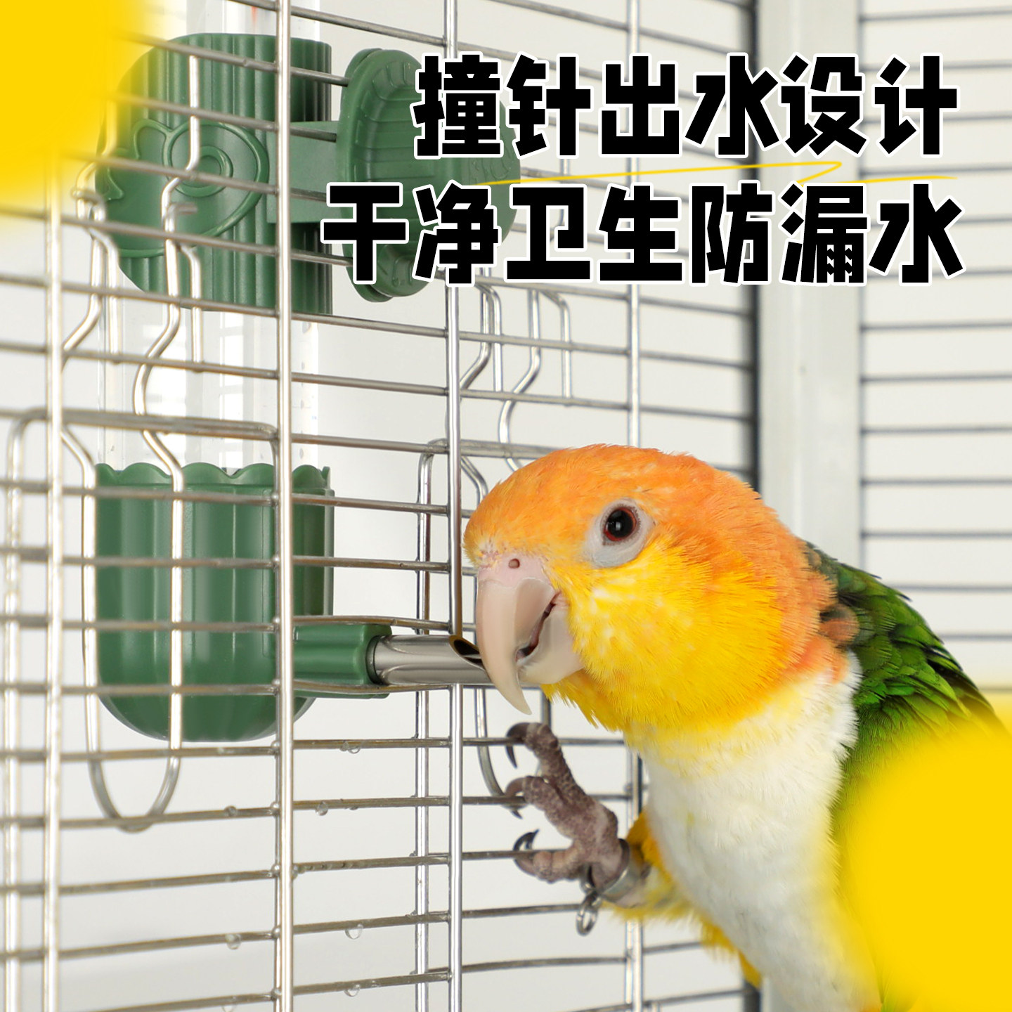图2