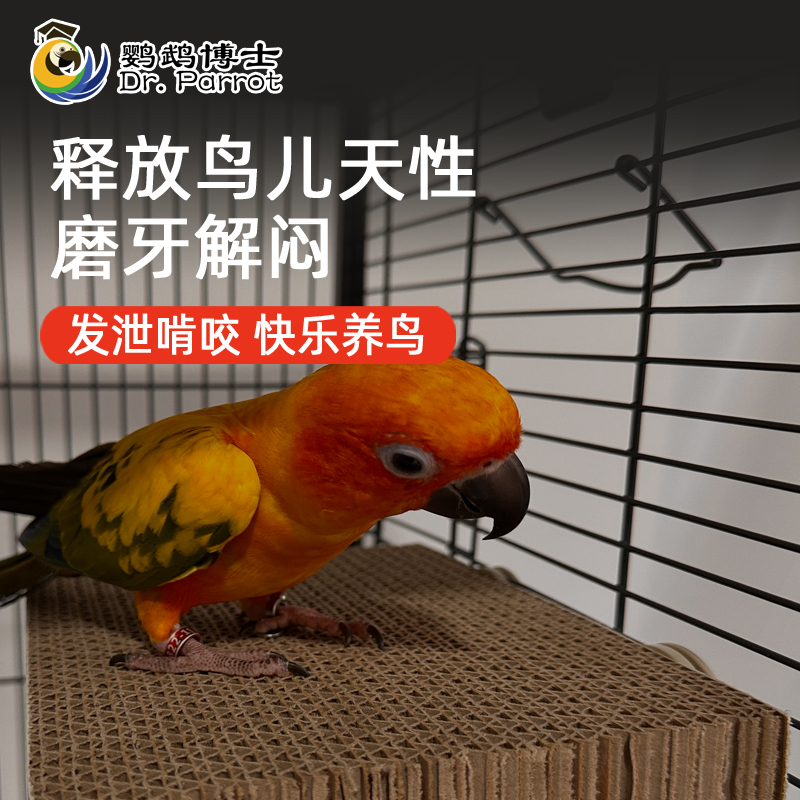 鹦鹉博士鹦鹉玩具鸟千层饼窝垫材啃咬发泄站板解压解闷防咬毛磨嘴,淘宝优惠券,粉丝福利购,淘宝优惠卷