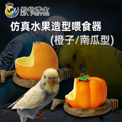 虎皮玄凤鹦鹉鸟食盒防撒防溅鹦鹉自动喂食器防撒喂鸟饮水器下料器 - 图1