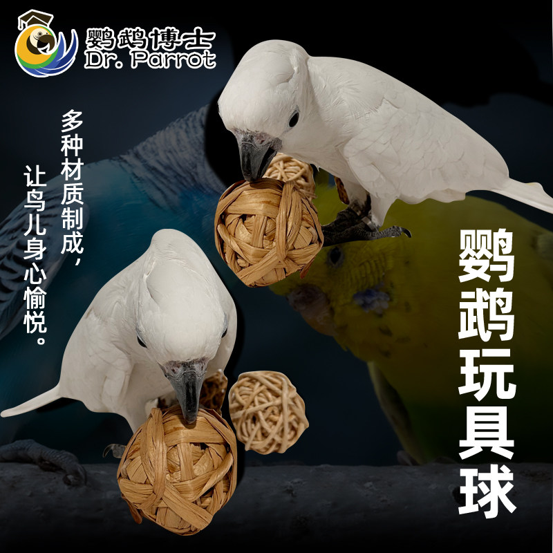 中大型鹦鹉玩具鸟啃咬磨牙磨嘴藤球鹦鹉脚下玩具球宠物鸟用品用具,淘宝优惠券,粉丝福利购,淘宝优惠卷