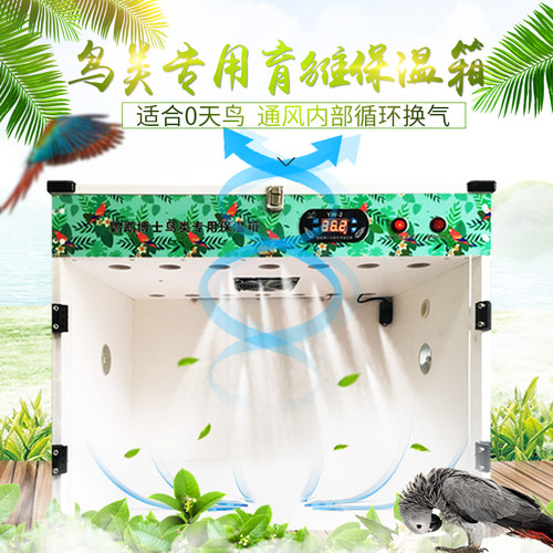 鹦鹉博士保温箱风热智能恒温育雏箱金刚葵花灰鹦鹉幼鸟雏鸟饲养箱 - 图0