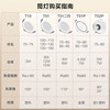 Bull downlight recessed