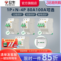 Bulls Flagship Earth Leakage Protection Breaker Air Industry Industrial Air-Open Electric Gate Switch 80A100ALE-100