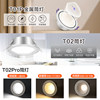 Bull downlight recessed