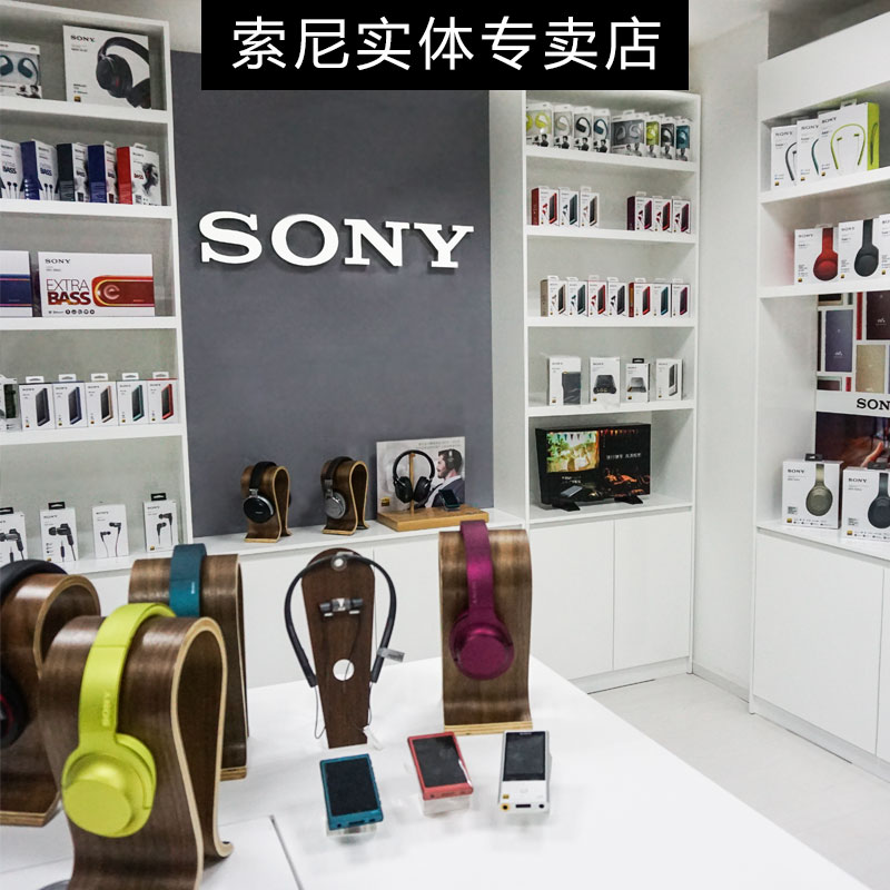 Sony索尼PCM-D10专业高清降噪录音笔防出大容量mp3音乐播放器D100 - 图0