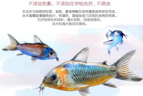 虎头鲨蓝鲨鱼饲料招财猫鱼异形底栖鱼饵料下沉鱼粮沉底鱼料鱼食 - 图3