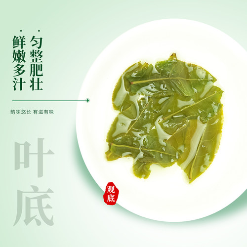 徽将军2026新茶将出六安瓜片特二级雨前手工茶叶250g高山云雾绿茶 - 图2