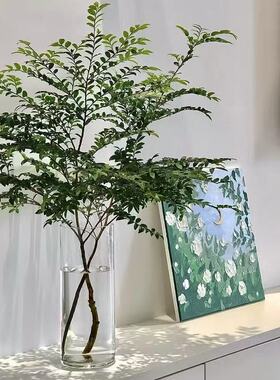 定制尺寸亚克力花瓶高透明打不碎