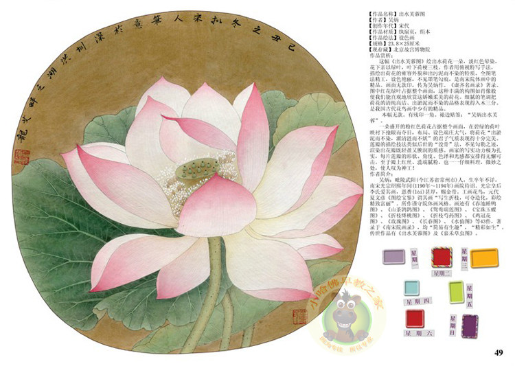 图5