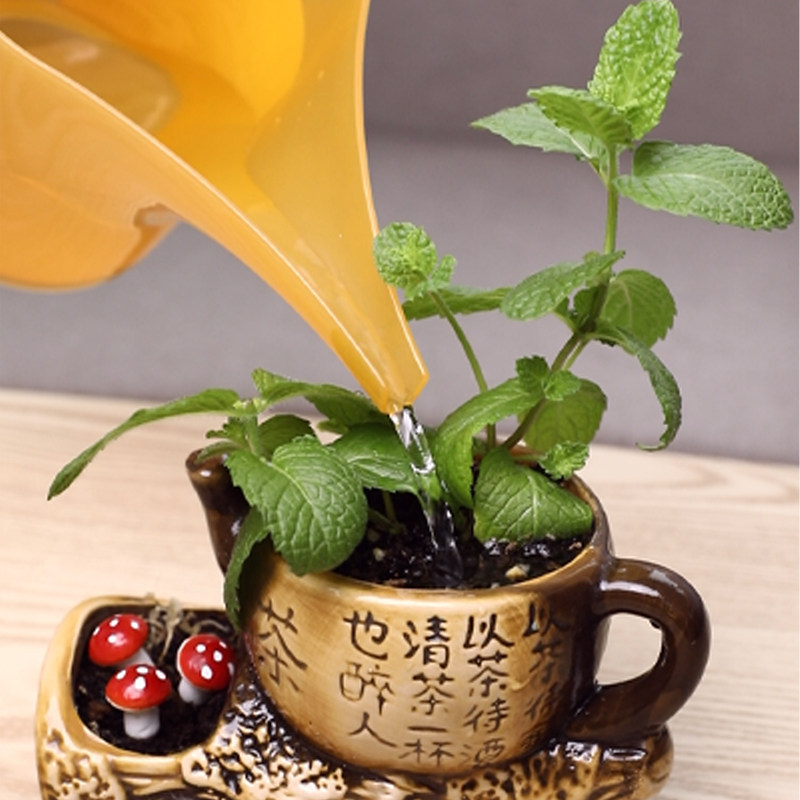 日本进口长嘴浇水壶尖嘴浇花壶家用小园艺盆栽洒水器养花浇菜神器,淘宝优惠券,粉丝福利购,淘宝优惠卷