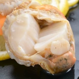 Мясовое морское морское морское мясо поймало замороженные морепродукты Юань моллюски моллюско