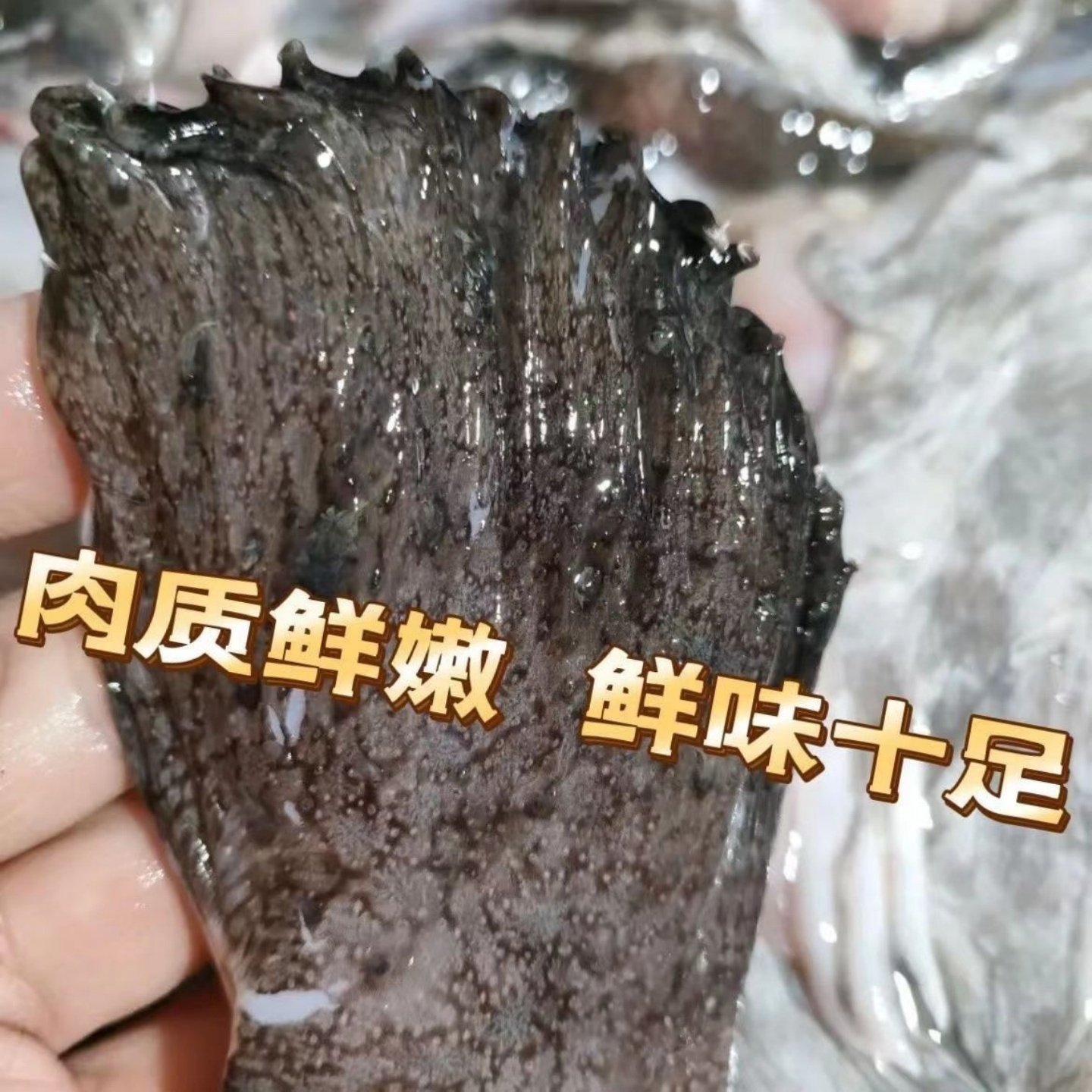 新鲜安康鱼翅膀冷冻鱼翅鱼鳍安康鱼鲜活深海鱼翅海鲜水产整箱批发,淘宝优惠券,粉丝福利购,淘宝优惠卷