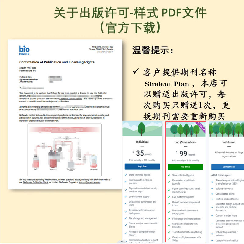 biorender订阅会员可发表有许可有版权充值代充导出高清无水印-图0