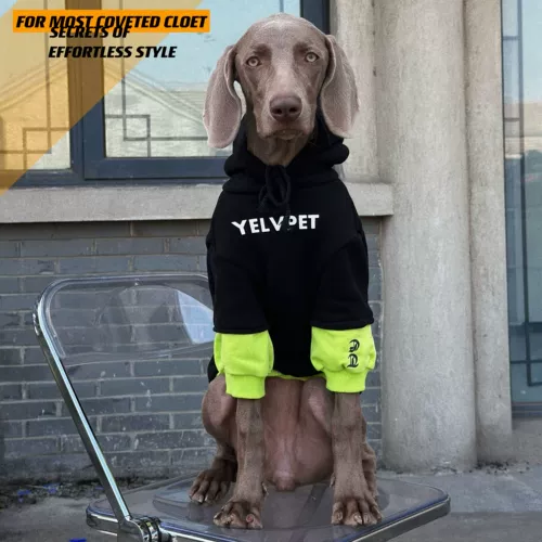 Собака для любимой собаки большая одежда для собак сражается цвет и фальшивый двух весенний и осенний ватный ватный свитер лабрадо золотой ретривер