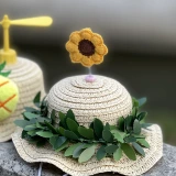 Летнее веселье, домашнее животное бамбуковое дракозон