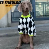 Модные демисезонные шахматы, удерживающий тепло шнурок-держатель, толстовка, домашний питомец