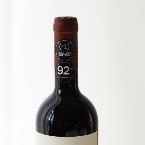 阿根廷之光 JS92分卡帝娜马尔贝克Catena malbec mendoza红葡萄酒 - 图1