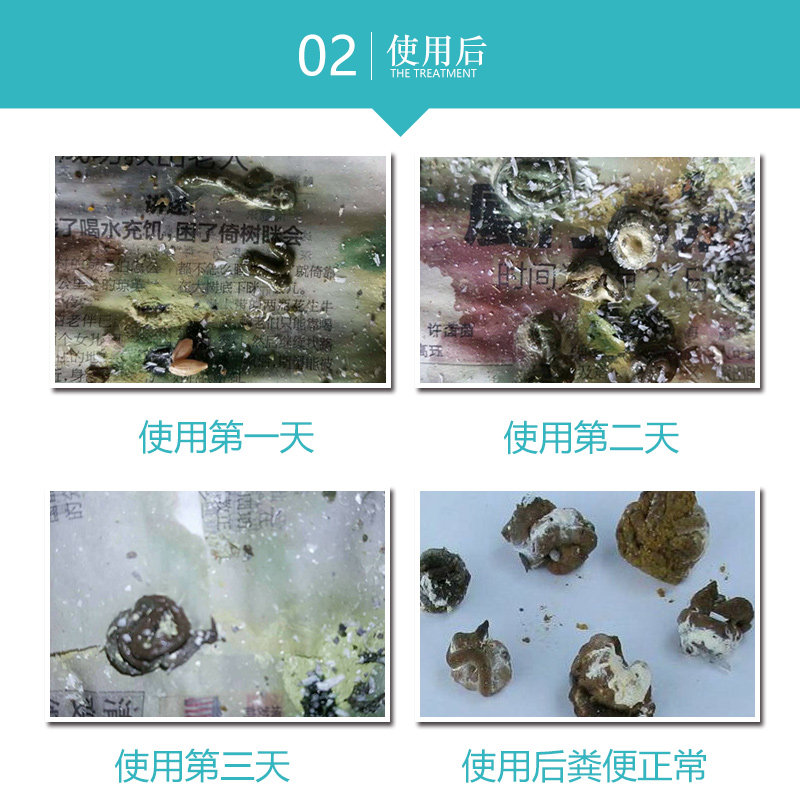 心连心鸽用百消丹100丸心连心百消丹15粒百消散胀嗉鸽子粮食不化