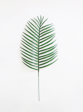 绿植墙婚庆道具仿真装饰假树叶子