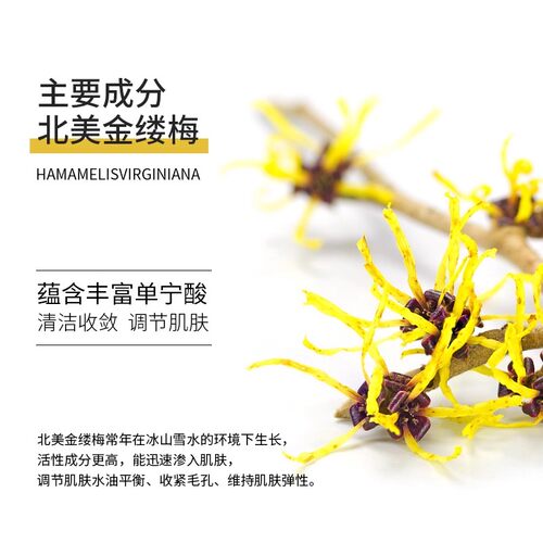 津尔氏金缕梅无酒精黄瓜水芦荟进口爽肤水清爽补水300ML送安瓶7支 - 图1