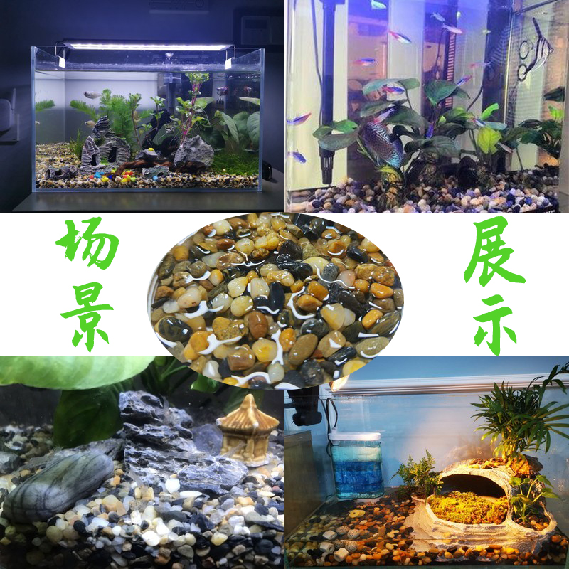 原生态溪流沙鱼缸底砂造景大矶沙七彩雷龙埃及发色水族水草溪水石 - 图1