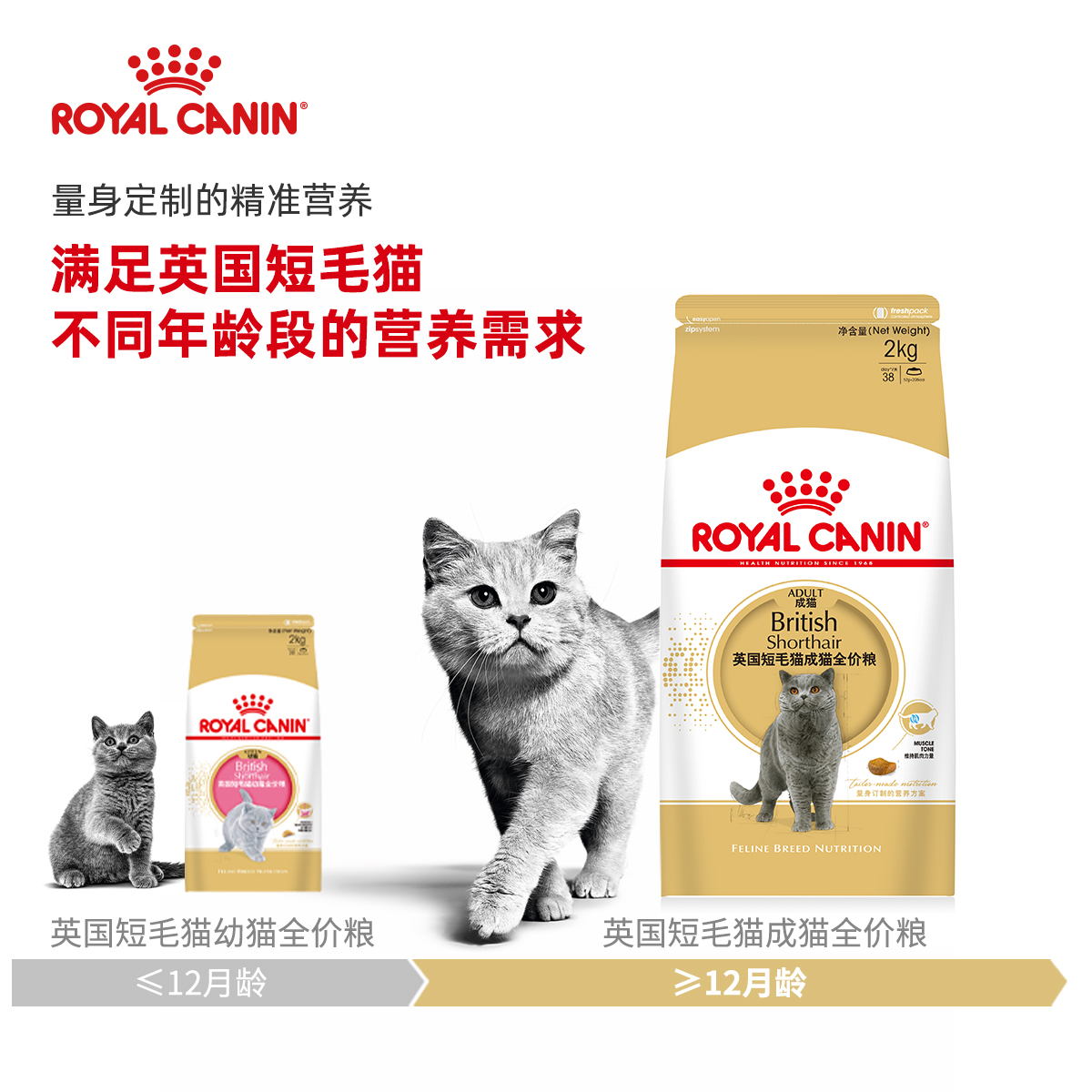 贝多芬宠物/皇家猫粮BS34英国短毛猫猫粮2Kg 英短宠物成猫粮 包邮 - 图2