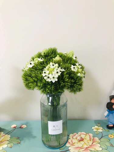 天鹅绒雀梅鲜切花水养家庭办公室内插花新鲜水培鲜花云南基地直发 - 图1