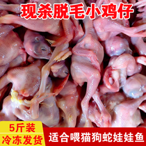 Raw Bone Meat Fresh Frozen Kitten Cat Dog Snacks Meat Animal Feed Quail Cub Pet Owners