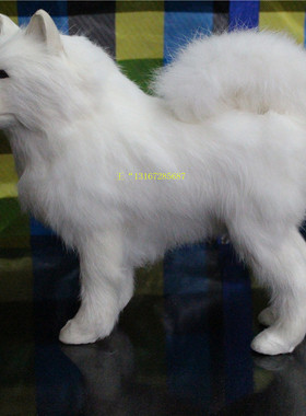 萨摩耶黑色哈士奇真皮毛十二生肖动物摆件礼品造型可爱包邮仿真狗