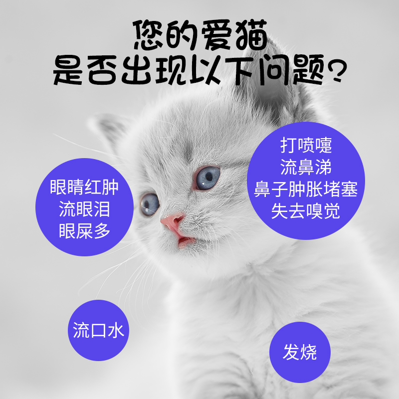 安琪儿宠物眼鼻滴液猫咪鼻支打喷嚏鼻涕眼睛红肿分泌物增多滴眼液 - 图1