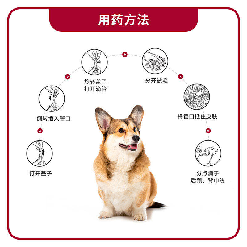 拜宠爽体外驱虫药宠物狗狗灭跳蚤虱子蜱虫驱虫滴剂小型犬用驱虫药,淘宝优惠券,粉丝福利购,淘宝优惠卷